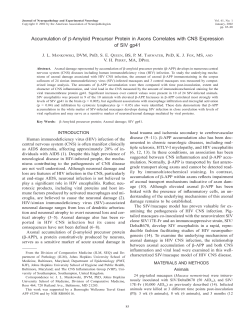 Accumulation of -Amyloid Precursor Protein in Axons Correlates with