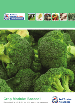 Broccoli 2016 - Red Tractor Assurance