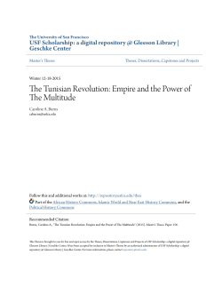 The Tunisian Revolution: Empire and the Power of The Multitude