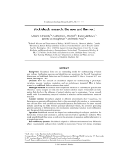 Stickleback research: the now and the next