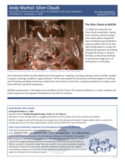 Andy Warhol: Silver Clouds