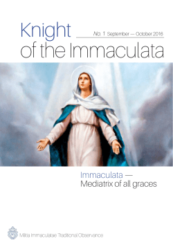 Knight of the Immaculata No. 1