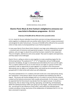 DIVA - Electric Picnic