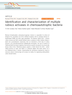 Identification and characterization of multiple rubisco