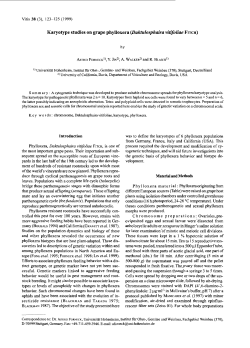 Karyotype studies on grape phylloxera (Daktulosphaira vitifoliae