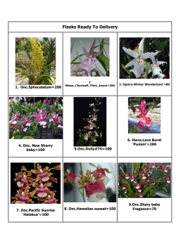 Flasks Ready To Delivery