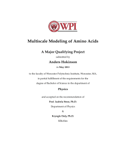 Multiscale Modeling of Amino Acids