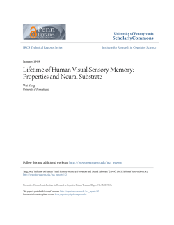 Lifetime of Human Visual Sensory Memory
