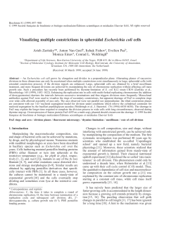 Biochimie 81