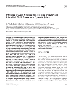Influence of Actin Cytoskeleton on Intra