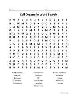 Cell Organelle Word Search