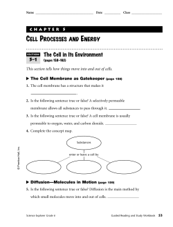 Ch. 5 Cell Processes and Energy