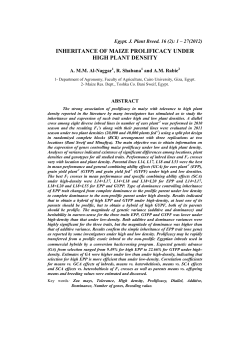 inheritance of maize prolificacy under high plant density