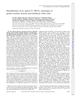 Identification of an apical Cl /HCO 3 exchanger in gastric surface