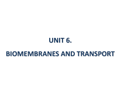 primary active transport