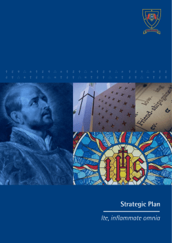 Strategic Plan Ite, inflammate omnia