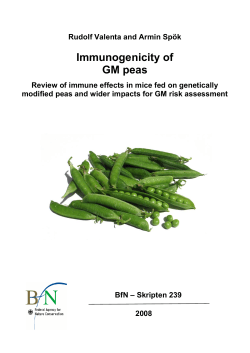 Immunogenicity of GM peas