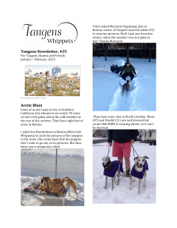 Jan-Feb - Tangens Hounds