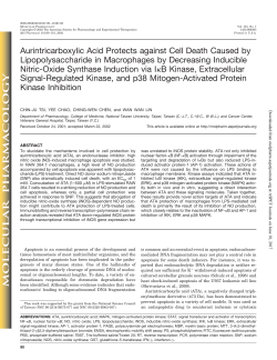 Aurintricarboxylic Acid Protects against Cell Death Caused by