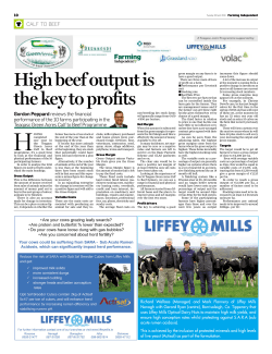 High beef output is the key to profits
