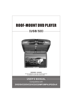 roof-mount dvd player