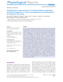 Simultaneous measurement of mitochondrial respiration and ATP
