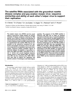 The satellite RNAs associated with the groundnut rosette disease
