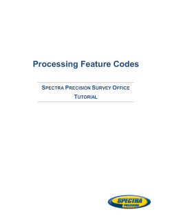Processing Feature Codes