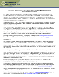 Ash Canopy Replacement Plan Begins