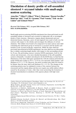 Elucidation of density profile of self-assembled