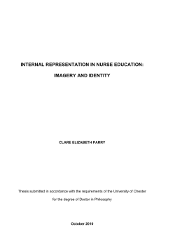 internal representation in nurse education: imagery and identity