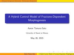 A Hybrid Control Model of Fractone
