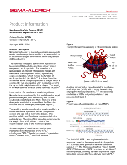 Membrane Scaffold Protein 1E3D1 (M7074)