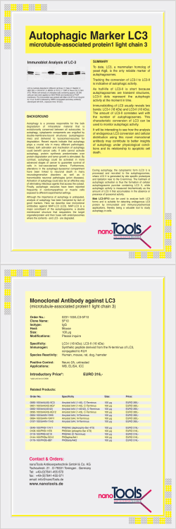 Autophagic Marker LC3 - Nanotools Antibodies