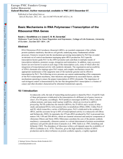 Basic Mechanisms in RNA Polymerase I Transcription of the