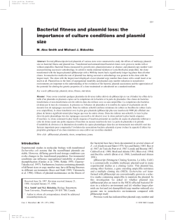 Bacterial fitness and plasmid loss: the importance of culture