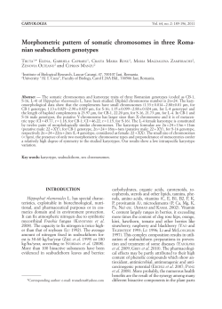 Morphometric pattern of somatic chromosomes in three Roma