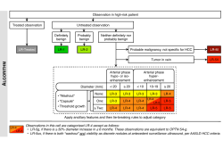 LI-RADS 2014 Flash Cards