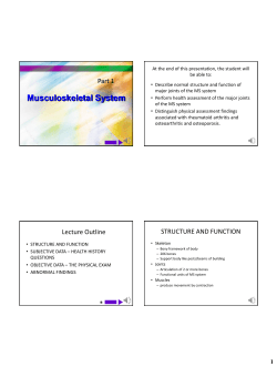 MS Assessment Part 1 HANDOUT