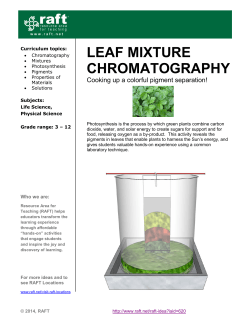 Leaf Mixture Chromatography