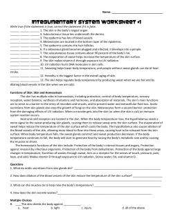 Integumentary System Worksheet #1