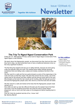 Issue 12(Week 4) - Blanchetown Primary School