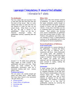 Laparoscopic Cholecystectomy
