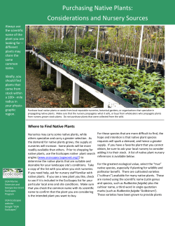 Purchasing Native Plants: Considerations and