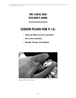 lesson plans for 9-12