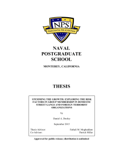 stemming the growth: exploring the risk factors in group membership
