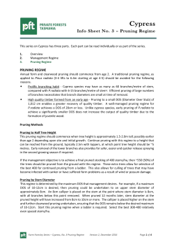 Pruning - Private Forests Tasmania