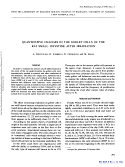 Quantitative Changes in the Goblet Cells of the Rat Small Intestine