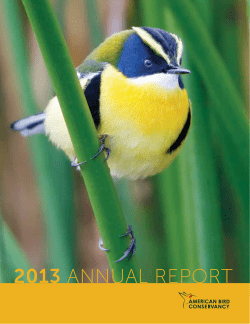 2013 ANNUAL REPORT