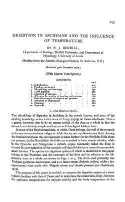 digestion in ascidians and the influence of temperature by nj berrill